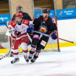 hockey hielo, Vibrante cierre de año en las ligas de hockey hielo, Real Federación Española Deportes de Hielo