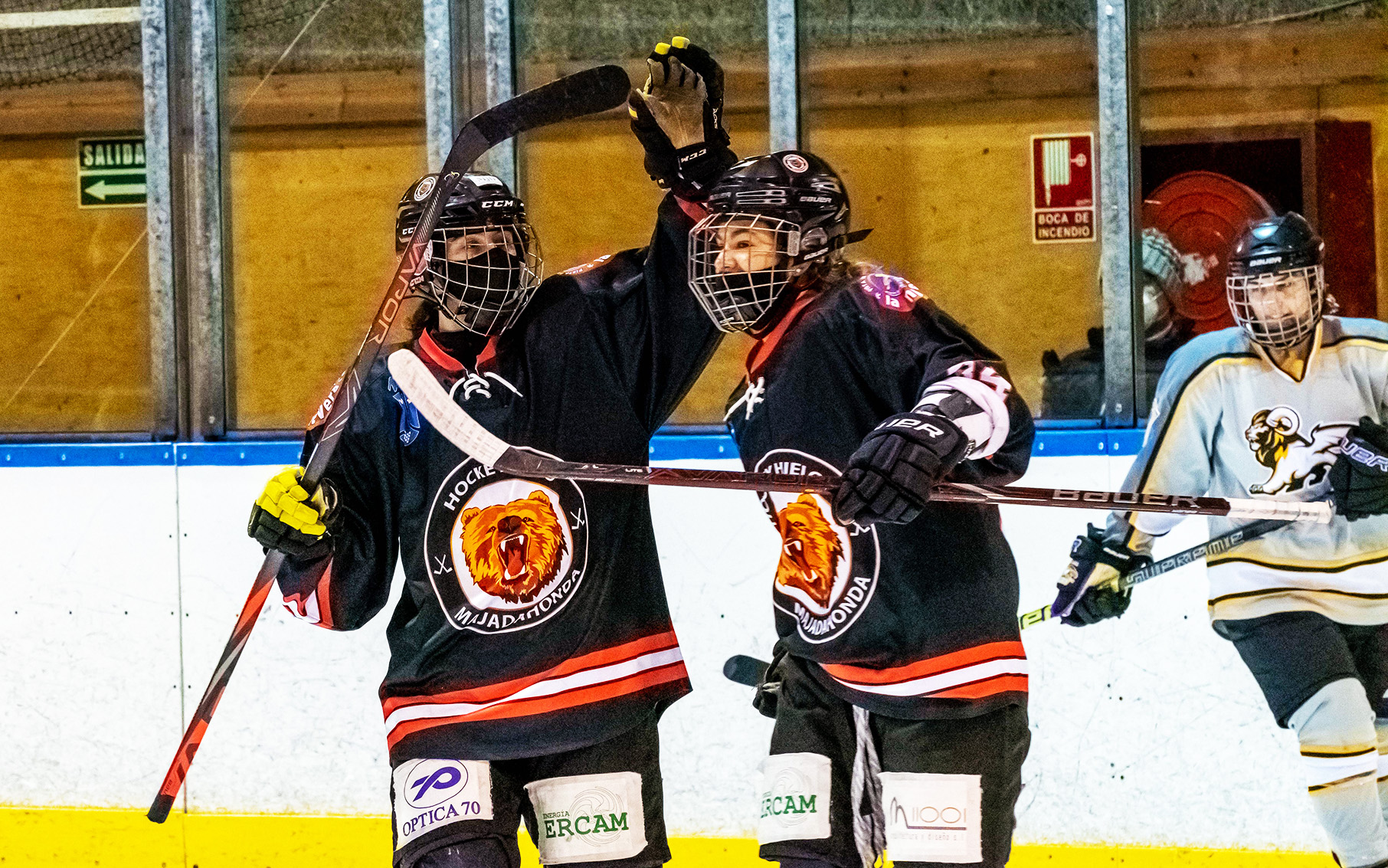 hockey hielo, Vibrante cierre de año en las ligas de hockey hielo, Real Federación Española Deportes de Hielo