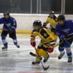 LNHH, La LNHH Loterías y la Liga Iberdrola entran en un decisivo último mes, Real Federación Española Deportes de Hielo