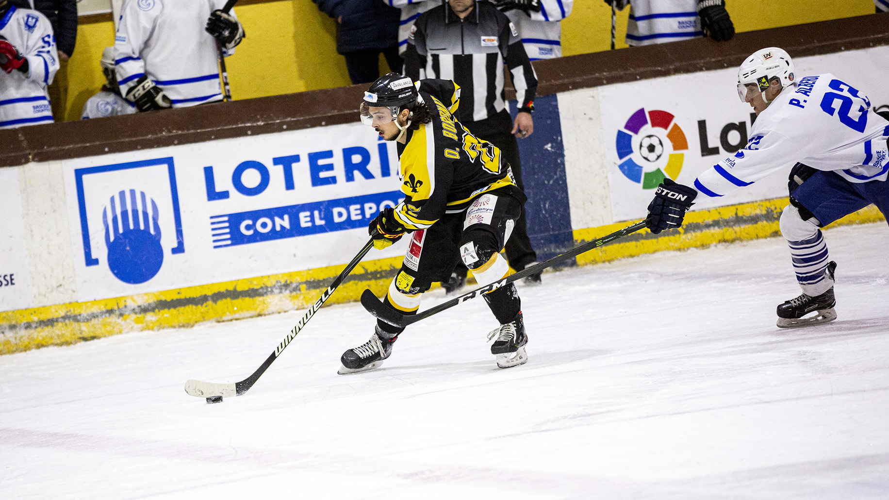 LNHH, La LNHH Loterías y la Liga Iberdrola entran en un decisivo último mes, Real Federación Española Deportes de Hielo