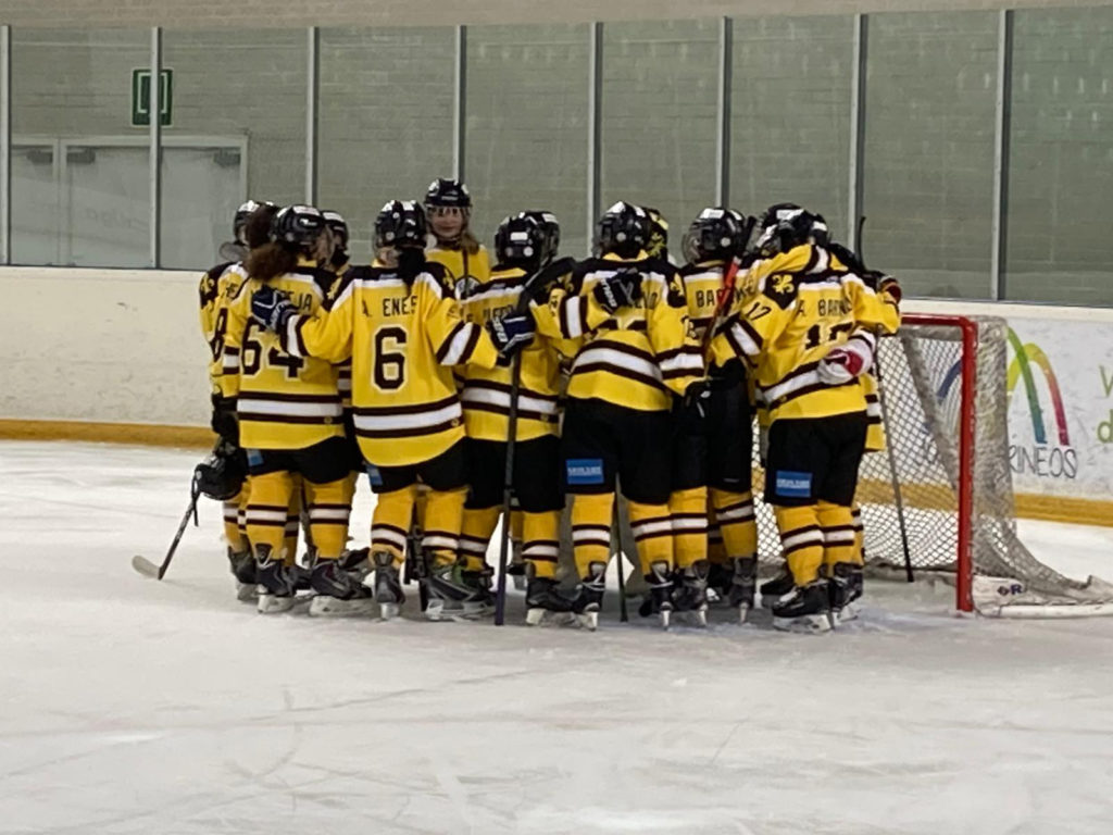 playoffs, Definidos los playoffs de Liga Iberdrola y LNHH Loterías, Real Federación Española Deportes de Hielo