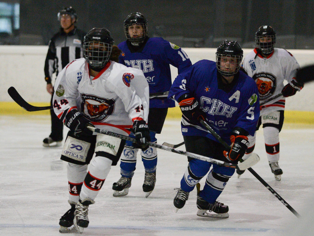 playoffs, Definidos los playoffs de Liga Iberdrola y LNHH Loterías, Real Federación Española Deportes de Hielo