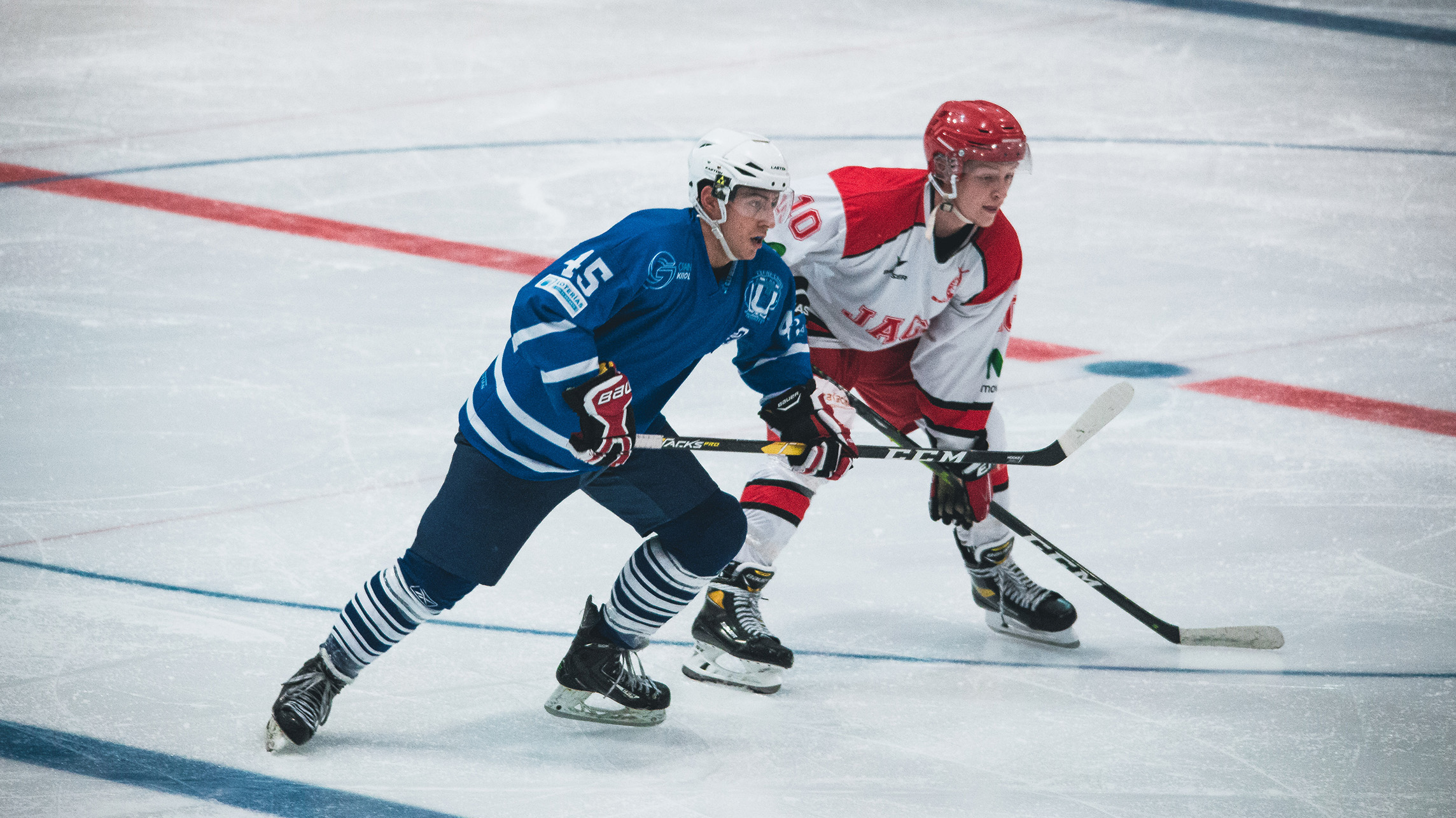 , Barça Hockey Gel, líder matemático; Jaca y Majadahonda se jugarán los playoffs, Real Federación Española Deportes de Hielo