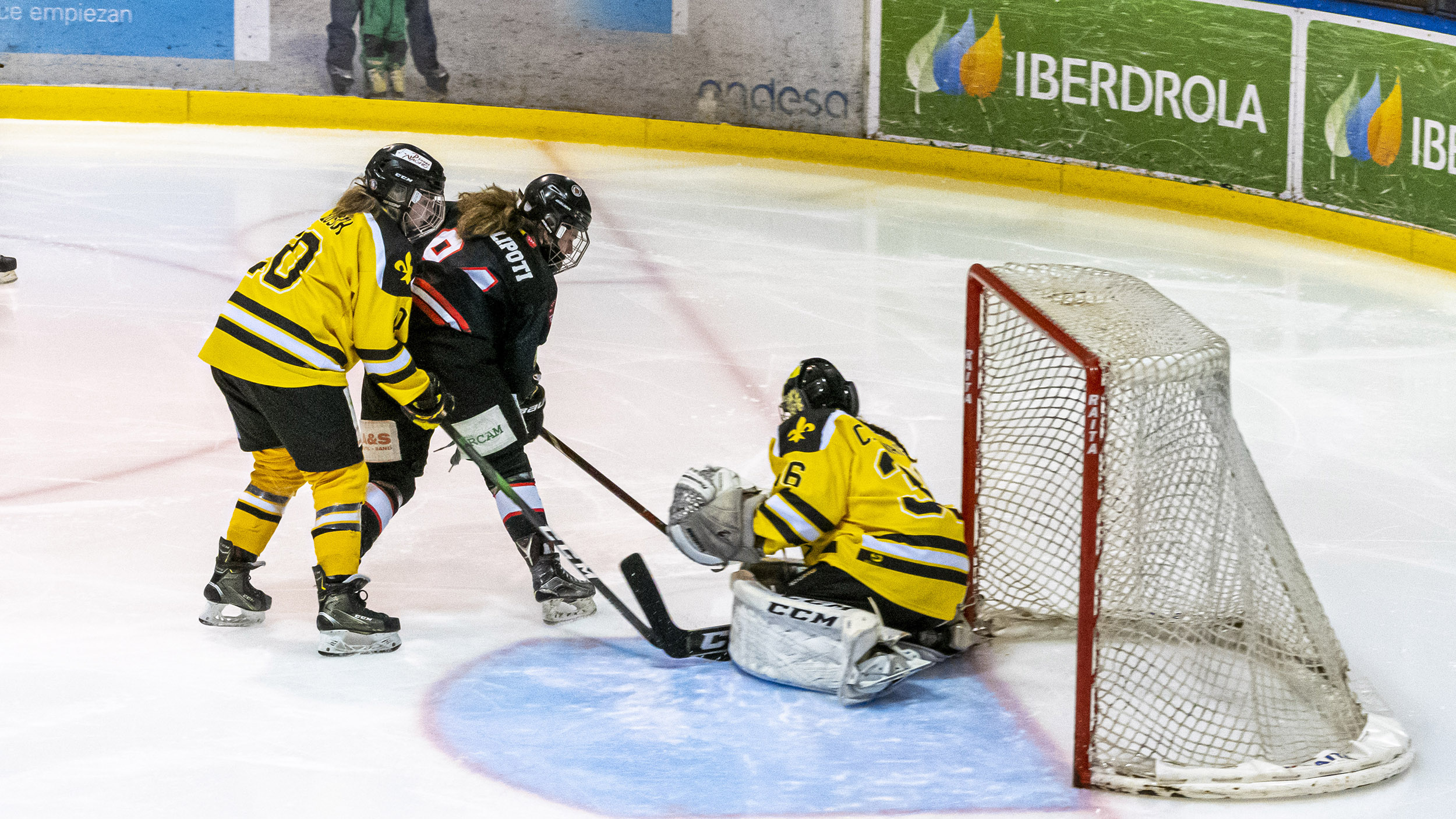 , El CG Puigcerdà pone fin a cinco años de imbatibilidad del SAD Majadahonda, Real Federación Española Deportes de Hielo