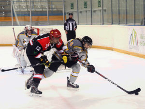 , El CG Puigcerdà pone fin a cinco años de imbatibilidad del SAD Majadahonda, Real Federación Española Deportes de Hielo