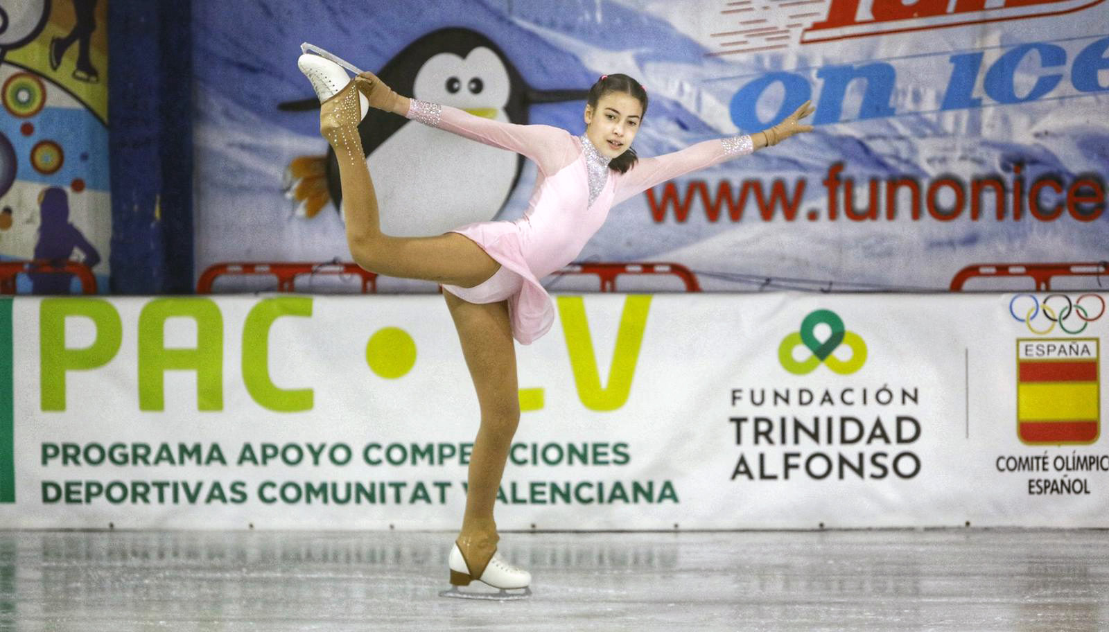 Campeonato Apertura, Completado con éxito el Campeonato Apertura de la Liga Nacional Plata, Real Federación Española Deportes de Hielo