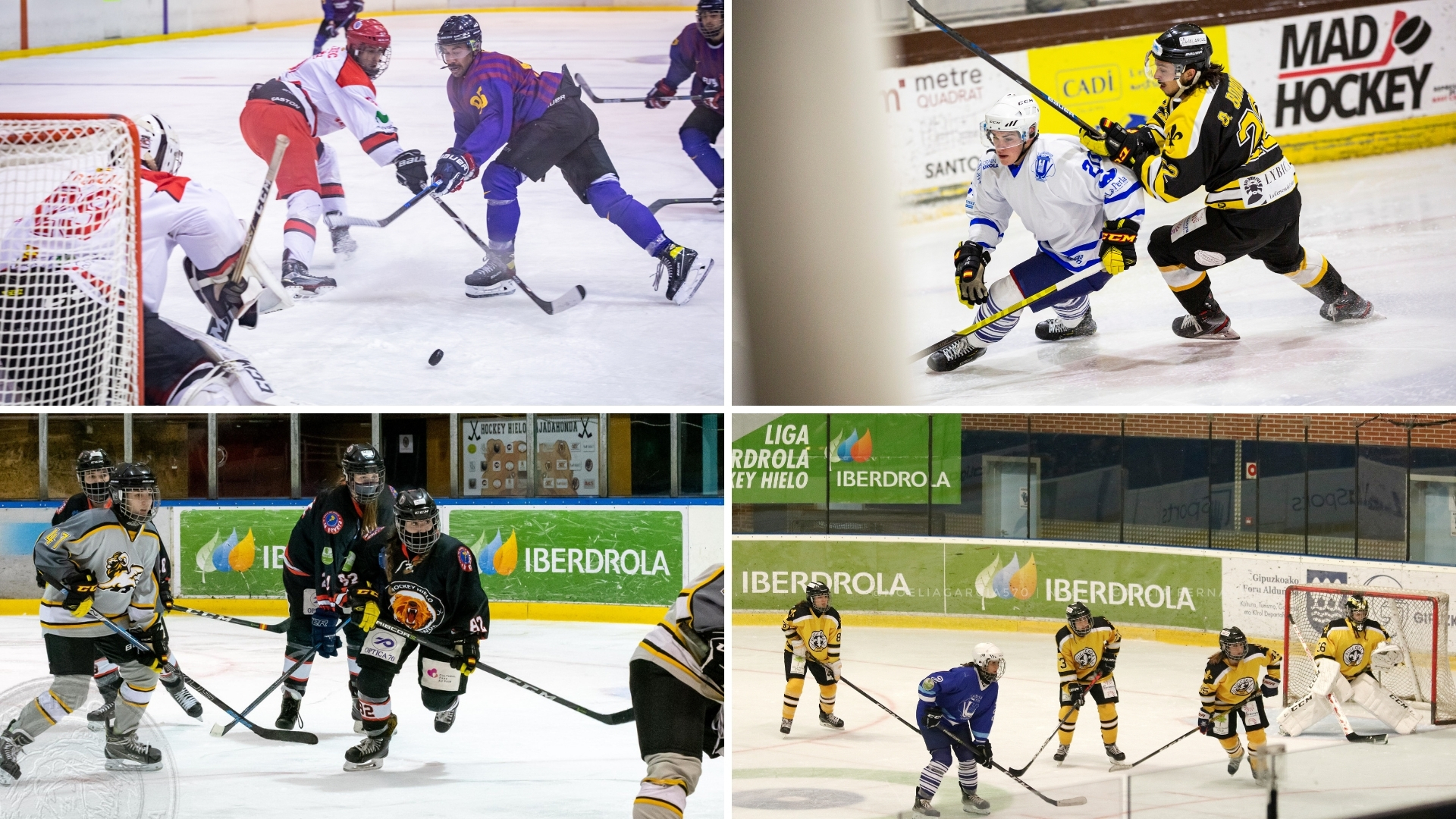 hockey hielo, ¡Empieza la lucha por los títulos de hockey hielo!, Real Federación Española Deportes de Hielo