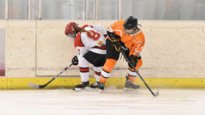 liga iberdrola, El SAD Majadahonda da el primer paso hacia el título de Liga Iberdrola, Real Federación Española Deportes de Hielo