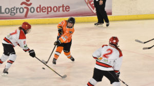 liga iberdrola, El SAD Majadahonda da el primer paso hacia el título de Liga Iberdrola, Real Federación Española Deportes de Hielo