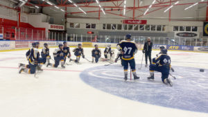 Hockey Hielo, Histórico acuerdo entre la RFEDH y la Federación Sueca de Hockey Hielo, Real Federación Española Deportes de Hielo