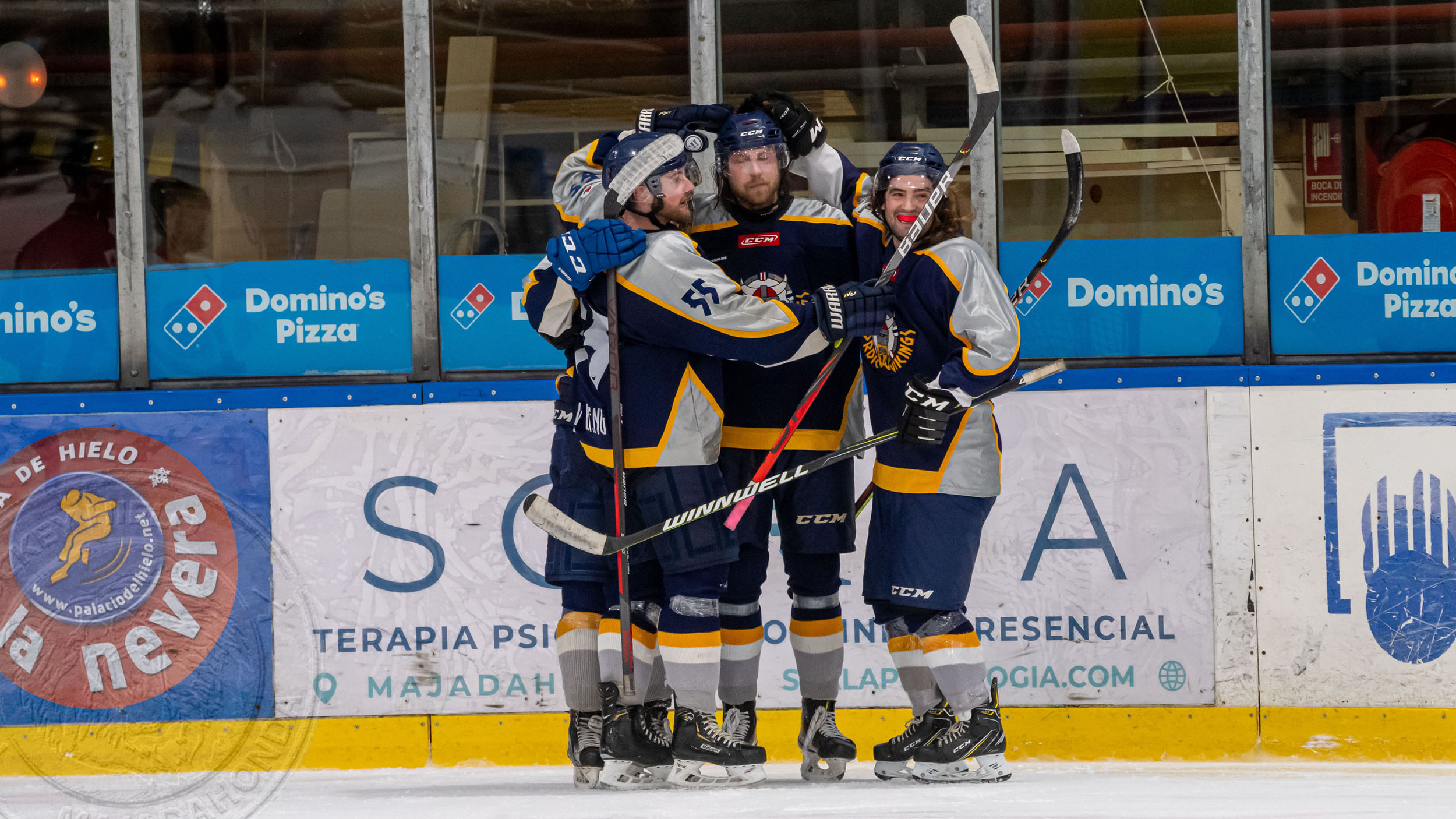 Nordic Vikings, Los Nordic Vikings concluyen su primera temporada en España, Real Federación Española Deportes de Hielo