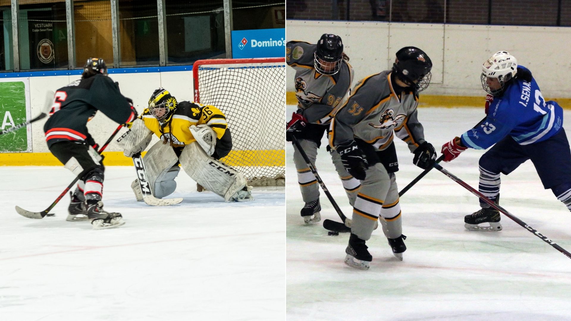 , Definidos los playoffs de la Liga Iberdrola de hockey hielo 2021-22, Real Federaci&oacute;n Espa&ntilde;ola Deportes de Hielo