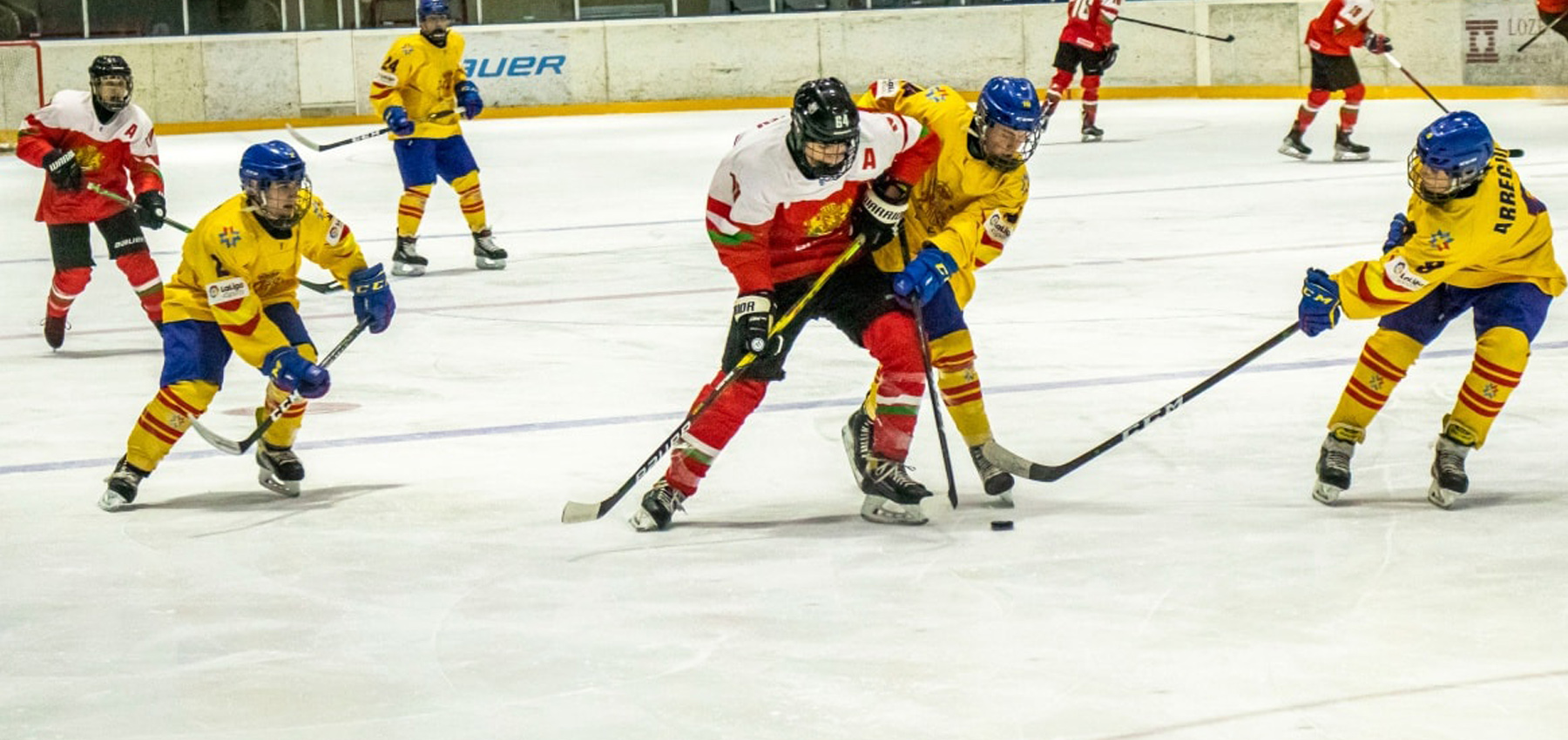 hockey hielo, Hockey Hielo: U18 Masculino, Real Federación Española Deportes de Hielo