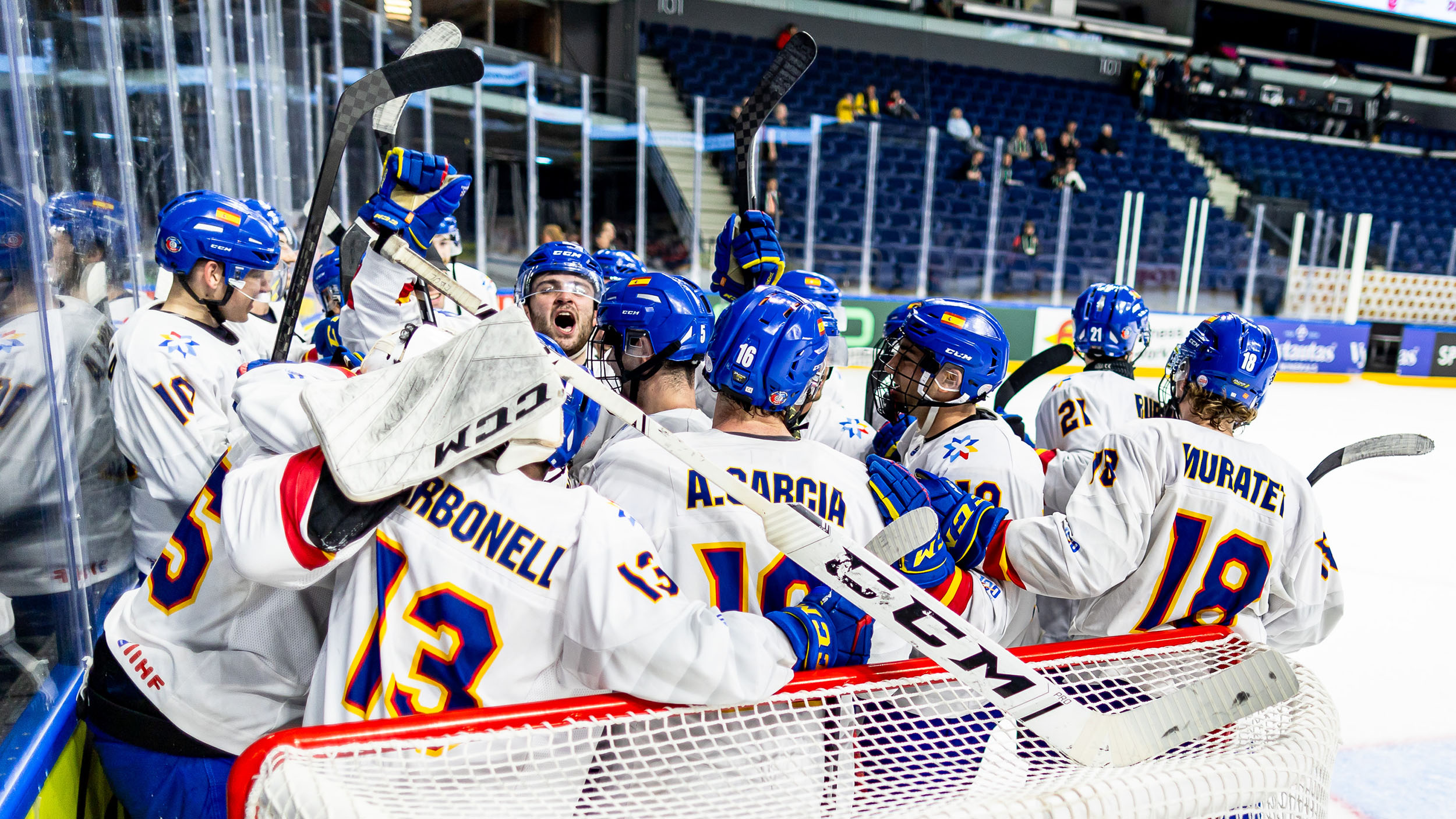 , Histórica permanencia de España en la División IB del Mundial de Hockey Hielo, Real Federación Española Deportes de Hielo
