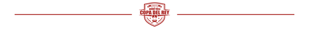 ayudas,RFEDH, Palmarés – Hockey Hielo, Real Federación Española Deportes de Hielo