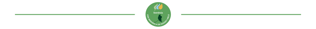 ayudas,RFEDH, Palmarés – Hockey Hielo, Real Federación Española Deportes de Hielo