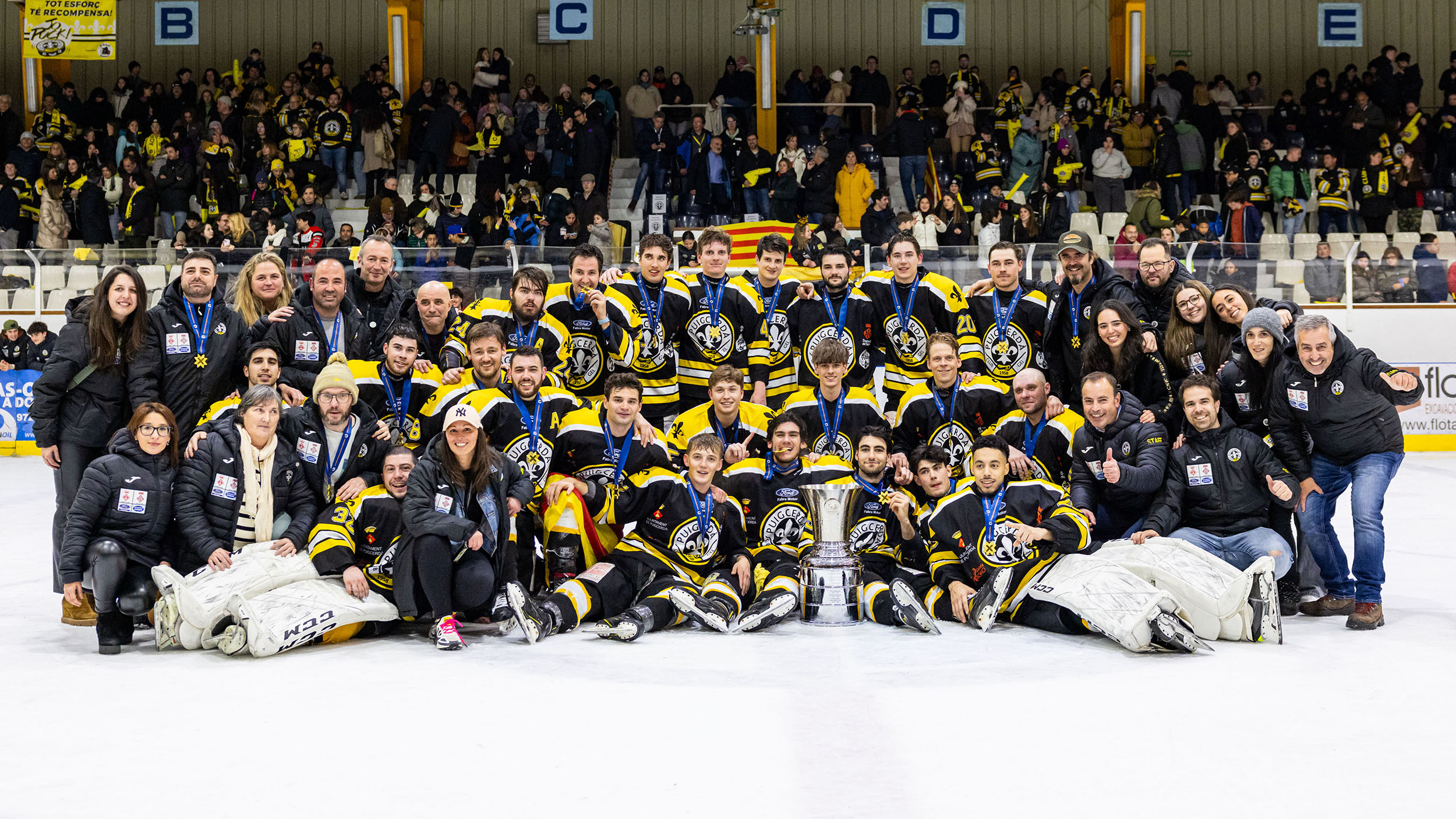 ayudas,RFEDH, Palmarés – Hockey Hielo, Real Federación Española Deportes de Hielo