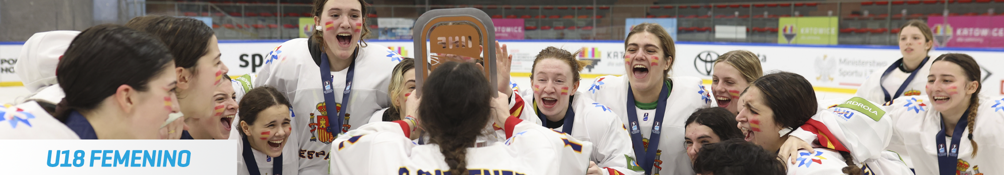 hockey hielo, Hockey Hielo: Selecciones Nacionales, Real Federación Española Deportes de Hielo