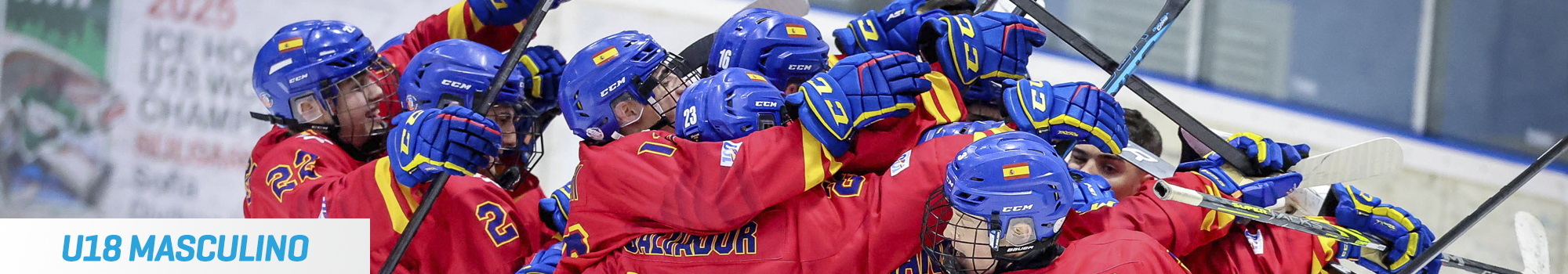 hockey hielo, Hockey Hielo: Selecciones Nacionales, Real Federación Española Deportes de Hielo