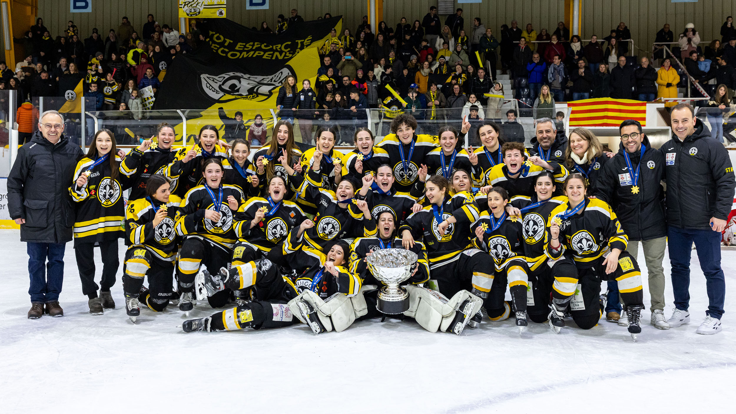 ayudas,RFEDH, Palmarés &#8211; Hockey Hielo, Real Federación Española Deportes de Hielo