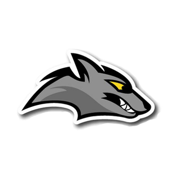 ayudas,RFEDH, Palmarés &#8211; Hockey Hielo, Real Federación Española Deportes de Hielo