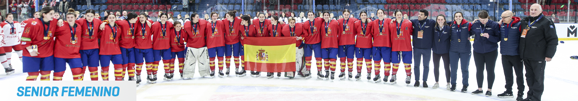 hockey hielo, Hockey Hielo: Selecciones Nacionales, Real Federaci&oacute;n Espa&ntilde;ola Deportes de Hielo