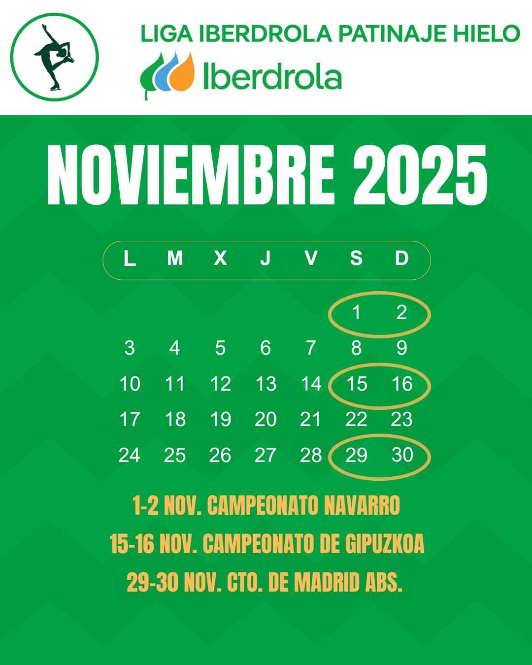 Patinaje, Liga Iberdrola de Patinaje sobre Hielo, Real Federaci&oacute;n Espa&ntilde;ola Deportes de Hielo