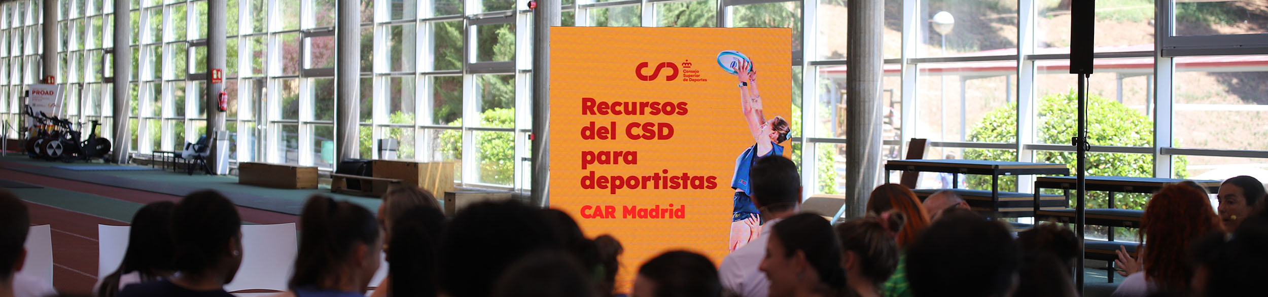 ayudas,RFEDH, Ayudas, Real Federaci&oacute;n Espa&ntilde;ola Deportes de Hielo
