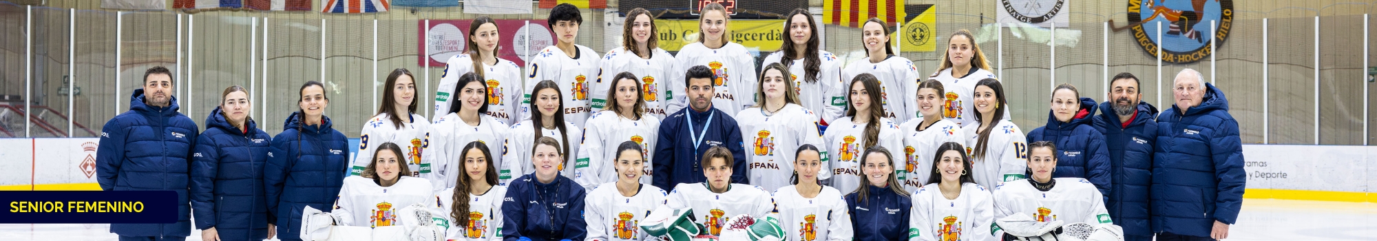 hockey hielo, Hockey Hielo: Selecciones Nacionales, Real Federaci&oacute;n Espa&ntilde;ola Deportes de Hielo