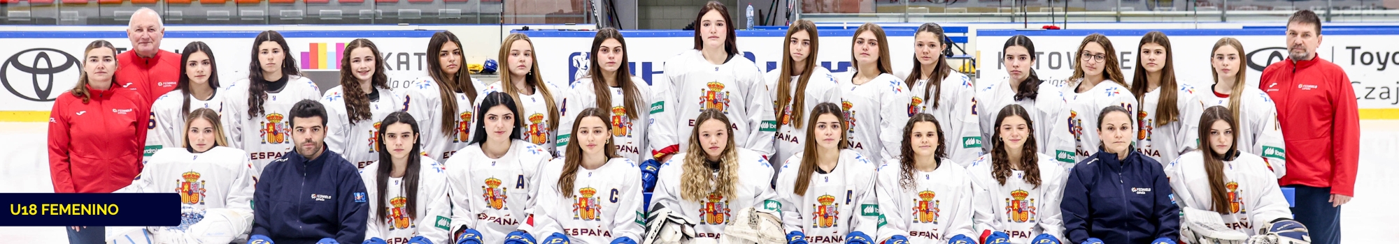 hockey hielo, Hockey Hielo: Selecciones Nacionales, Real Federaci&oacute;n Espa&ntilde;ola Deportes de Hielo