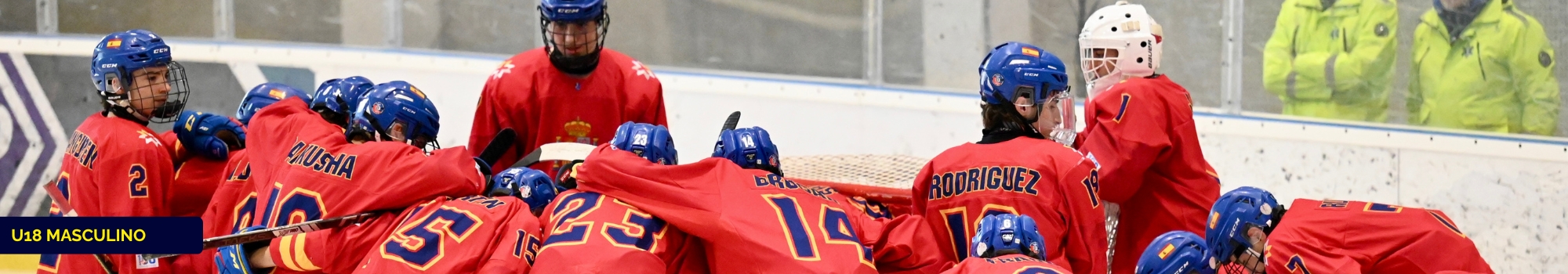 hockey hielo, Hockey Hielo: Selecciones Nacionales, Real Federaci&oacute;n Espa&ntilde;ola Deportes de Hielo