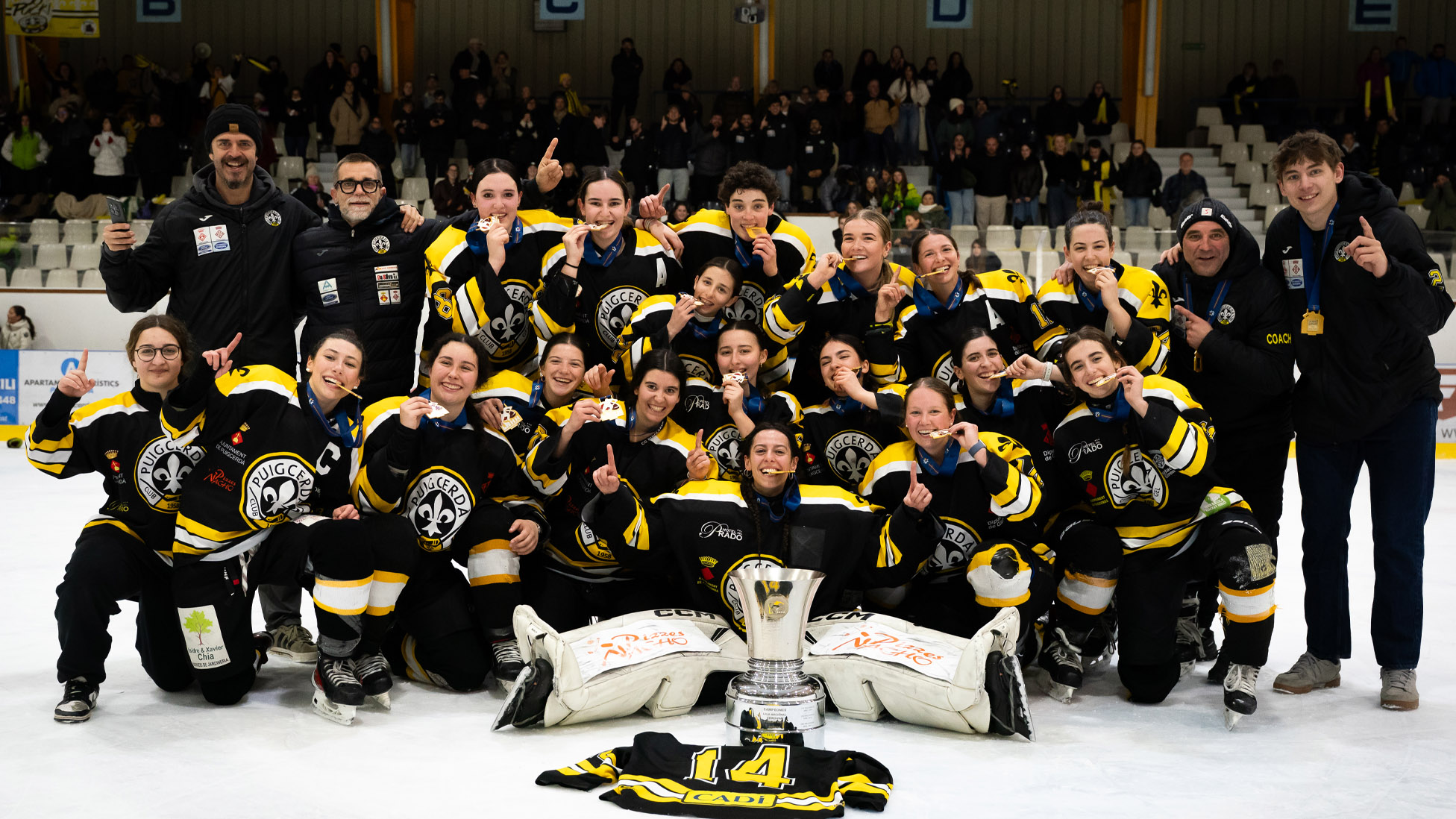 ayudas,RFEDH, Palmar&eacute;s – Hockey Hielo, Real Federaci&oacute;n Espa&ntilde;ola Deportes de Hielo
